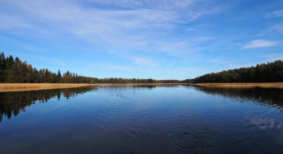 Härkäpää, Granö